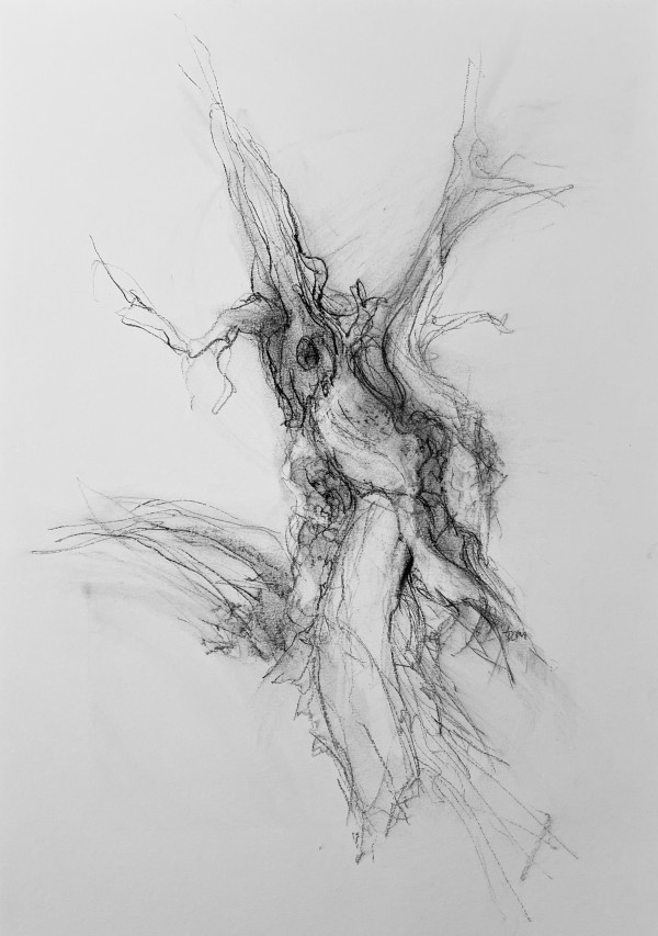 Chatsworth 024 by Tansy Lee Moir, Image 8.