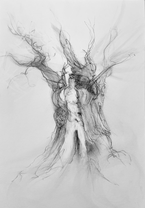 Chatsworth 023 by Tansy Lee Moir
