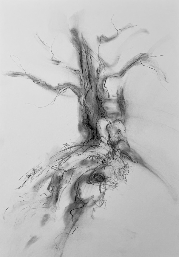 Chatsworth 014 by Tansy Lee Moir, Image 18.