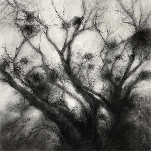 Burbelt by Tansy Lee Moir, Image 1.