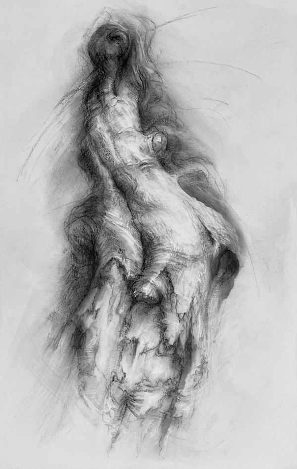 Transfigured by Tansy Lee Moir
