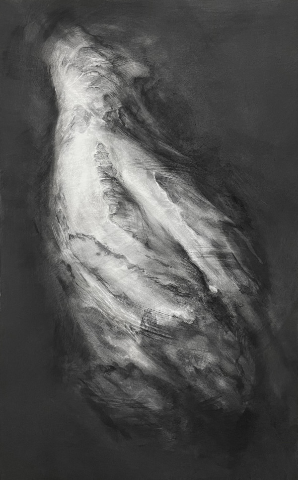 Apparition by Tansy Lee Moir