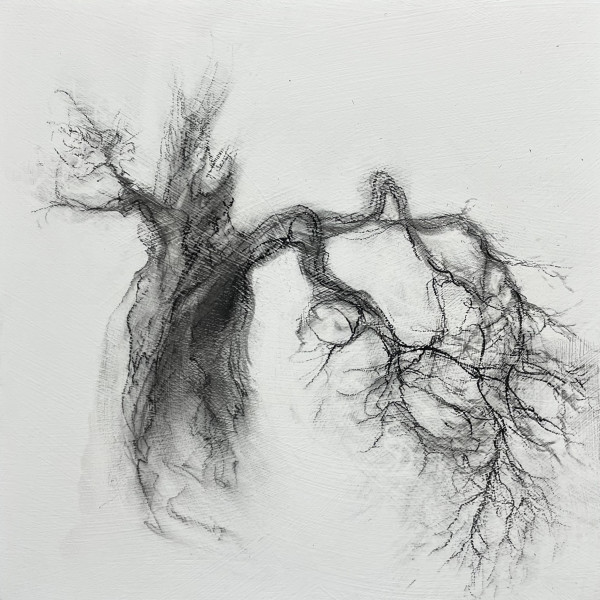 Sage by Tansy Lee Moir