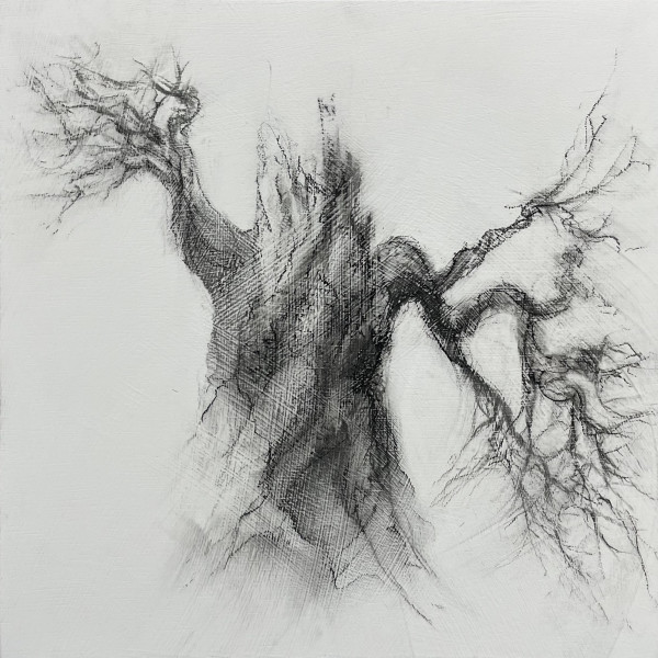 Pilgrim by Tansy Lee Moir