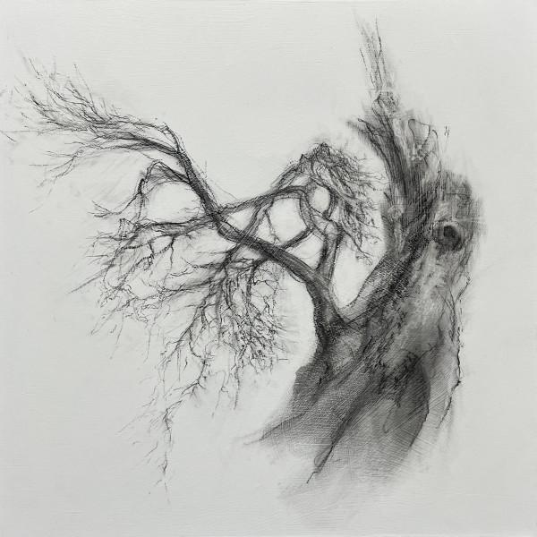 Prophet by Tansy Lee Moir