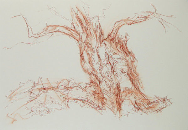 Chatsworth oak 6 by Tansy Lee Moir