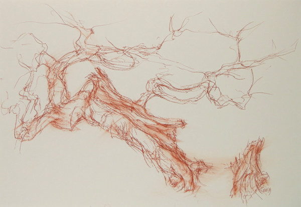 Chatsworth oak 7 by Tansy Lee Moir