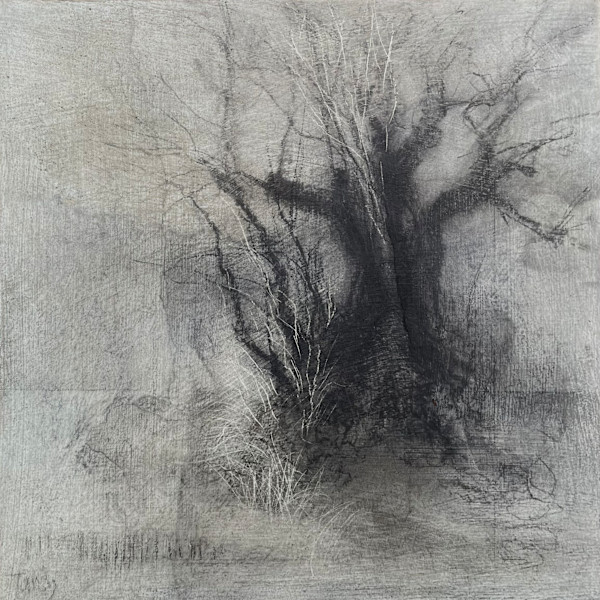 Margin by Tansy Lee Moir, Image 1.