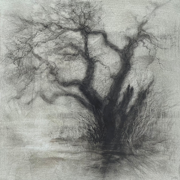 On the brim by Tansy Lee Moir, Image 1.