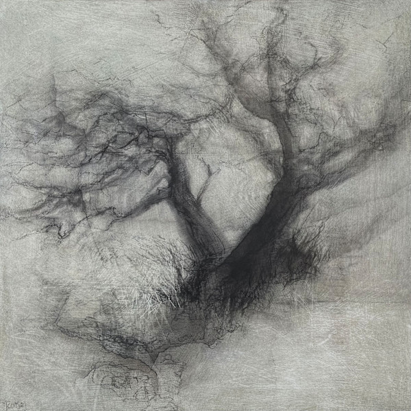 Search's end by Tansy Lee Moir, Image 1.
