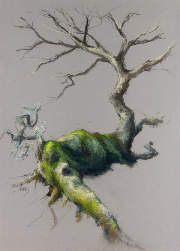 Tethered oak by Tansy Lee Moir