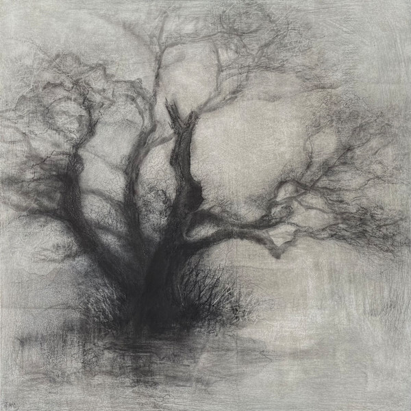 Threshold by Tansy Lee Moir