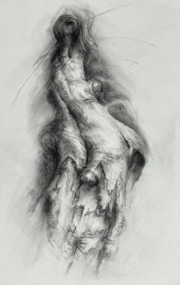 Transfigured by Tansy Lee Moir