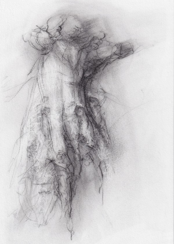Transformation study 10 by Tansy Lee Moir