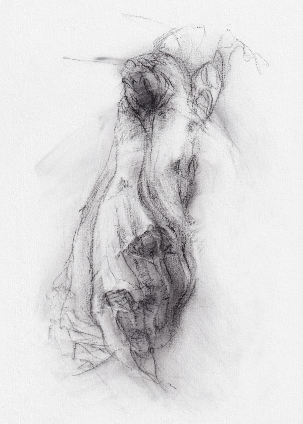 Transformation study 13 by Tansy Lee Moir, Image 1.