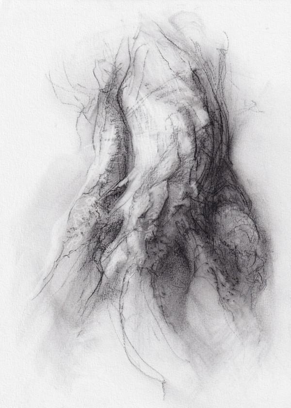 Transformation study 18 by Tansy Lee Moir, Image 15.