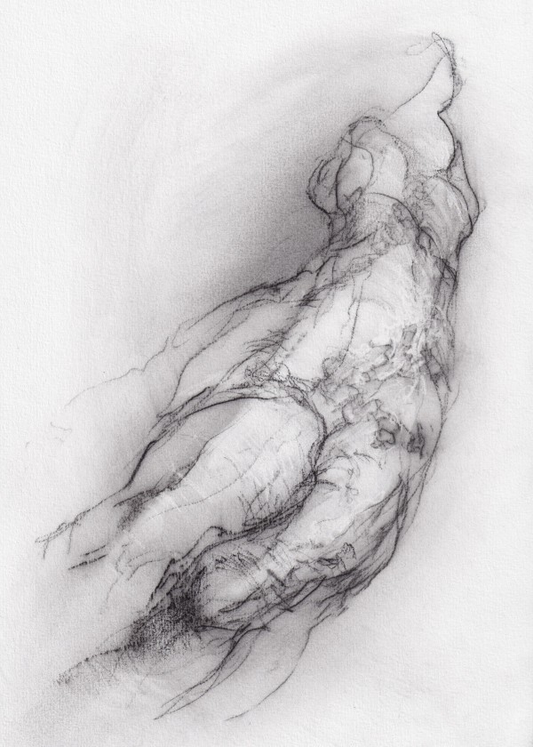 Transformation study 1 by Tansy Lee Moir, Image 4.
