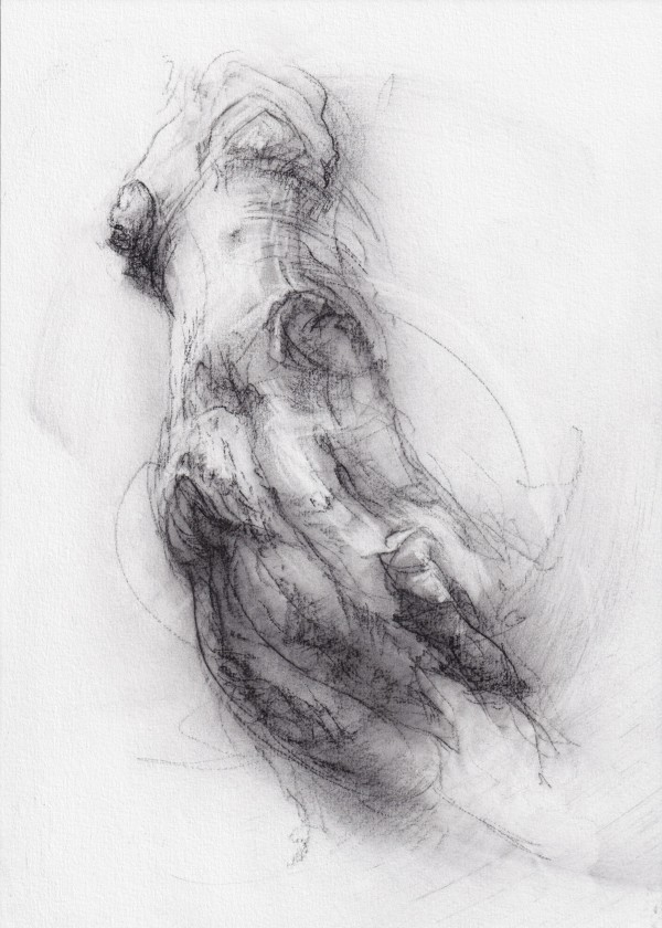Transformation study 2 by Tansy Lee Moir