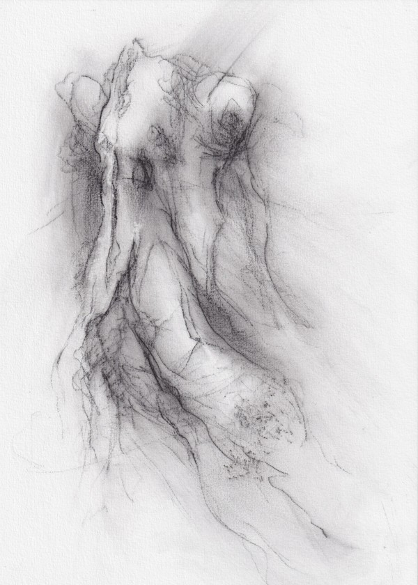 Transformation study 3 by Tansy Lee Moir