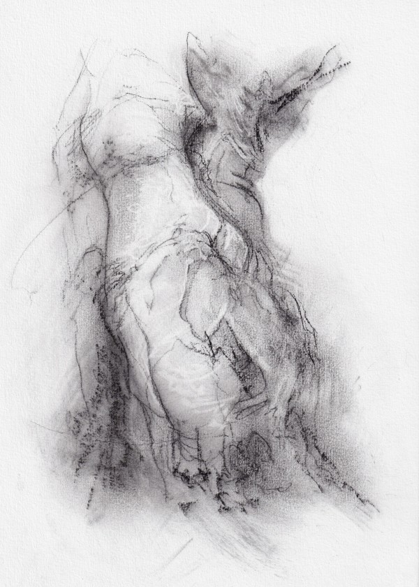 Transformation study 7 by Tansy Lee Moir