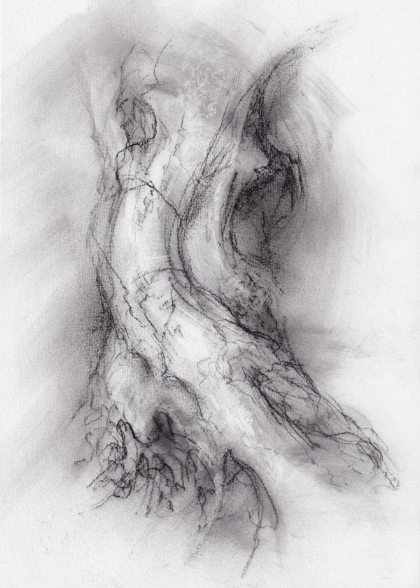 Transformation study 9 by Tansy Lee Moir
