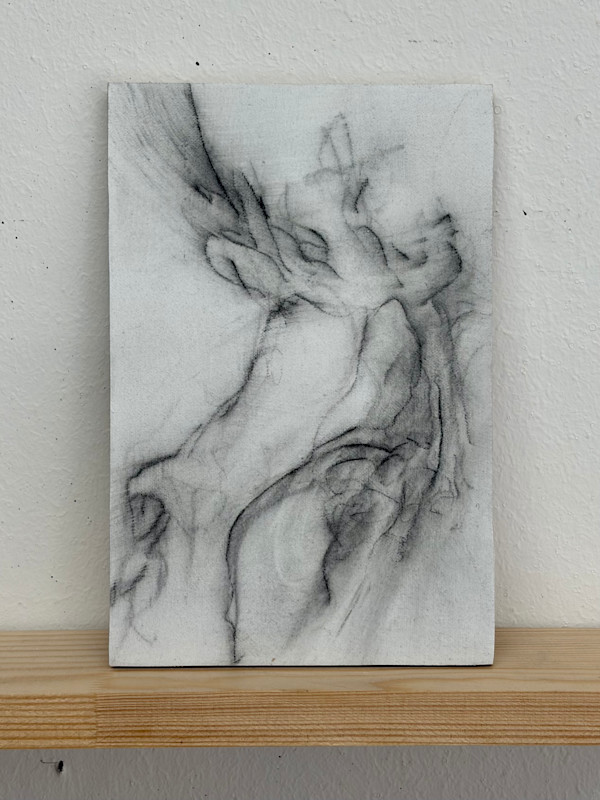 Trunk IV by Tansy Lee Moir, Image 1.