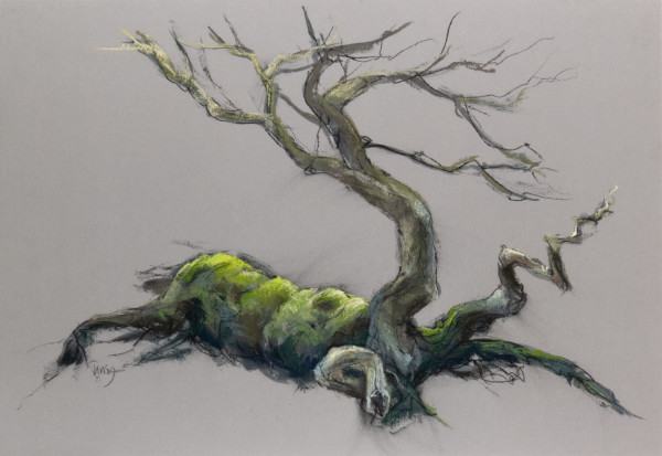 Walking oak by Tansy Lee Moir