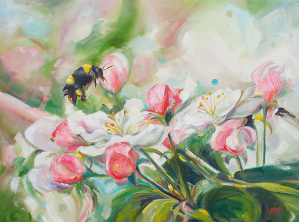Soft landing by Michelle Austen