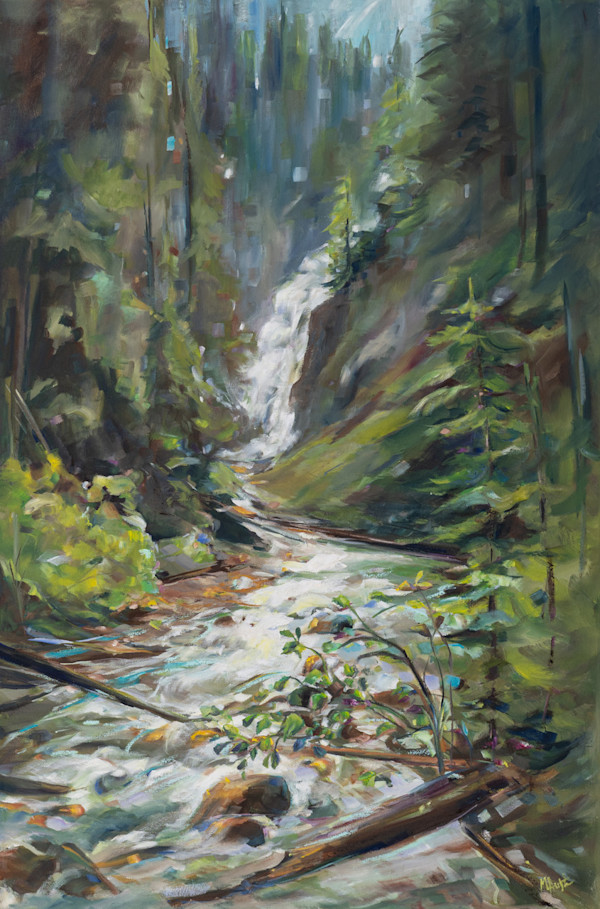 Glistening light - Bear creek falls by Michelle Austen