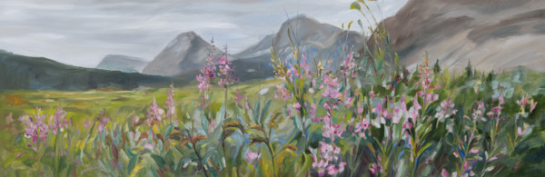 Abundance of fireweed at Bow Lake by Michelle Austen, Image 1.
