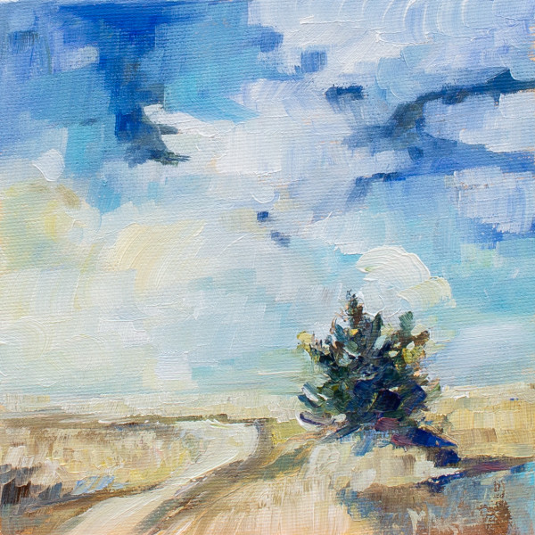 Look up! by Michelle Austen