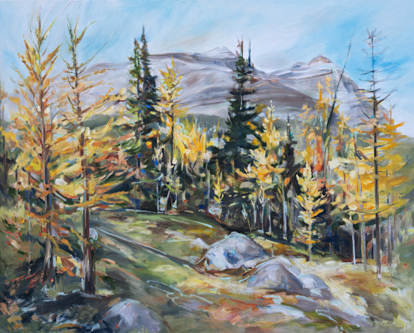 Morning glow on the way to Odaray Prospect by Michelle Austen