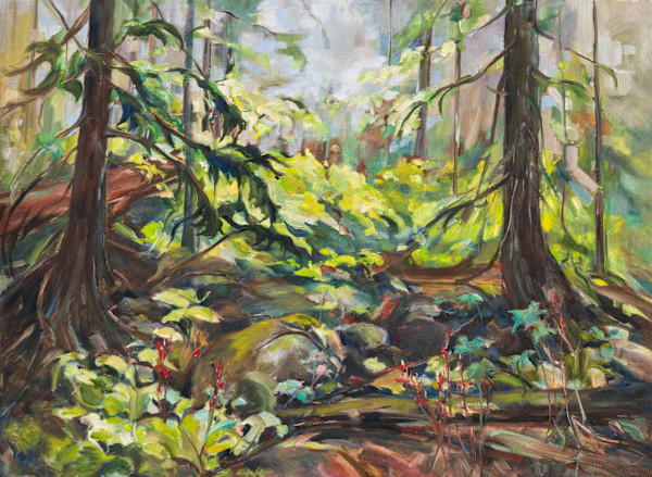 The forest light by Michelle Austen
