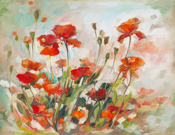Spanish poppies by Michelle Austen