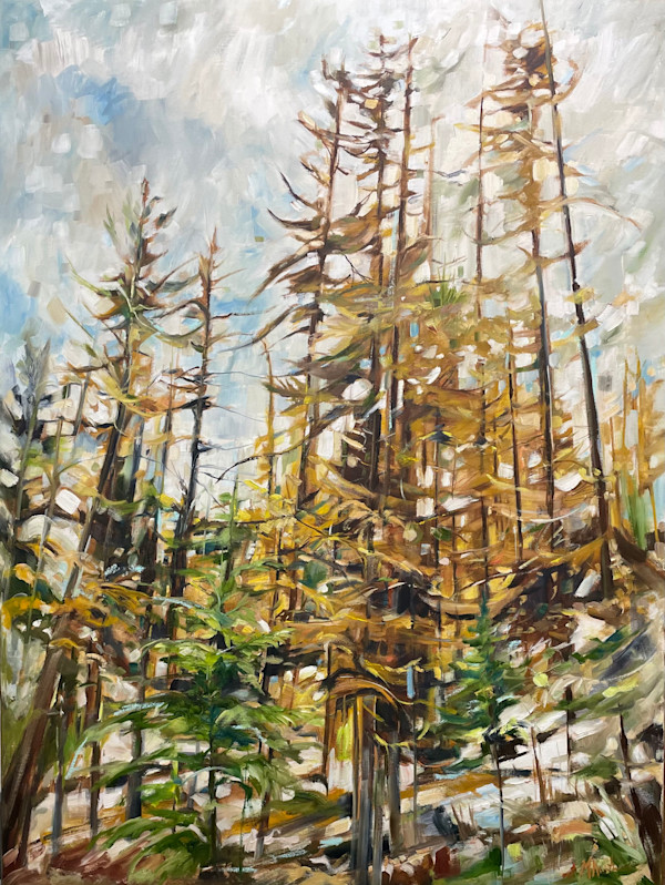 Root to rise by Michelle Austen