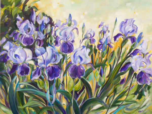 Message  from Iris by Michelle Austen