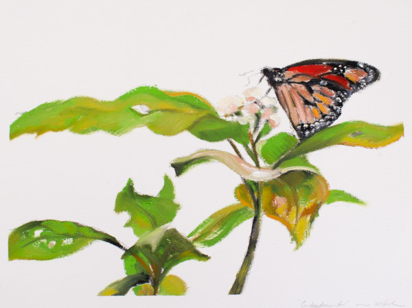 Contentment by Michelle Austen