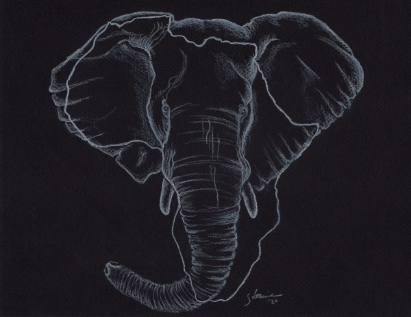 AfrikAnimals - Big Five: Elephant