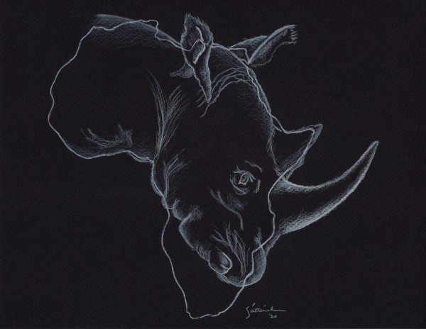 AfrikAnimals - Big Five: Rhino