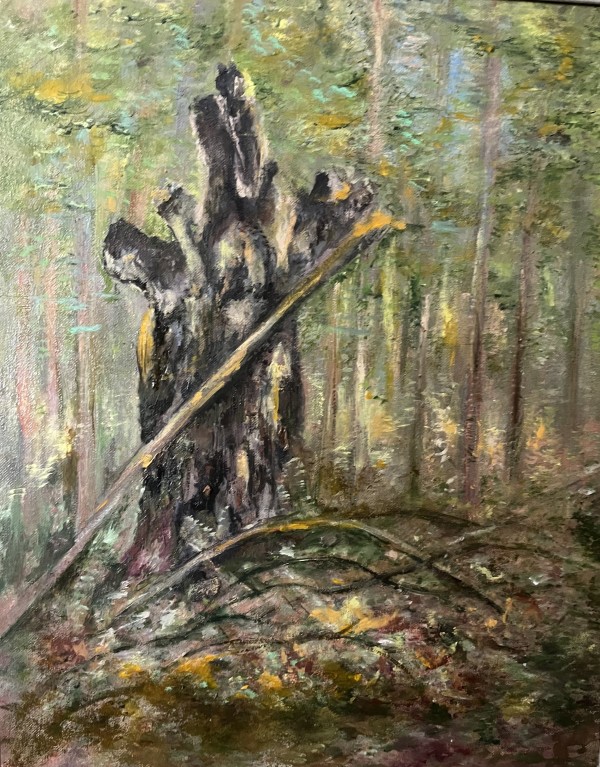 Old Tree Of The Forest