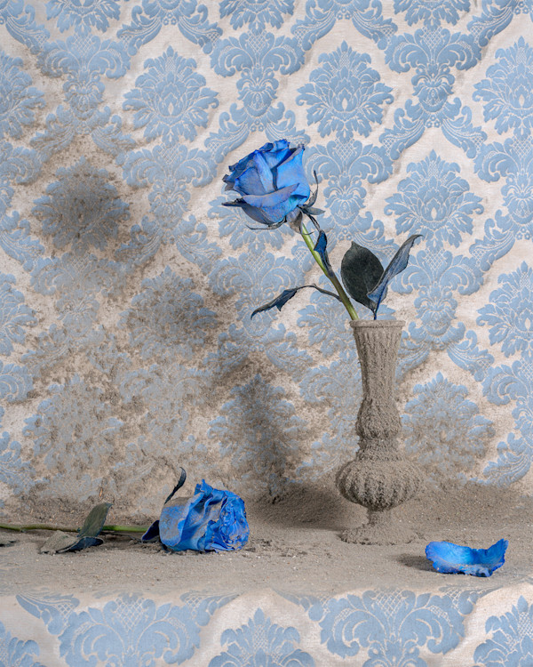 Blue Roses with Dust, Image 1.