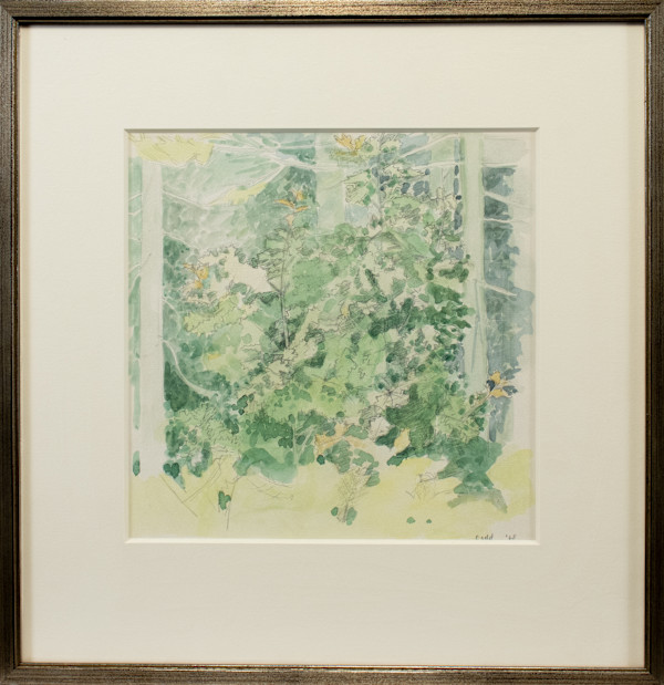Untitled (Trees) by Lois Dodd