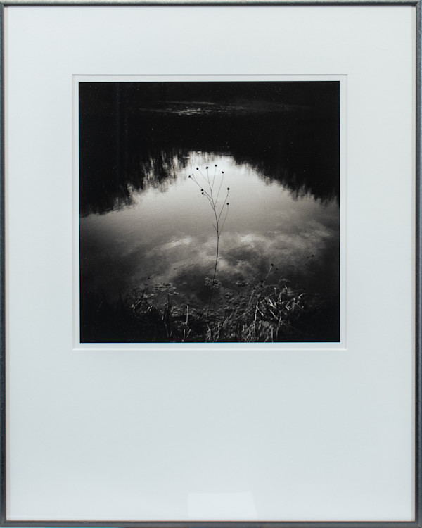 Osgood Pond, Adirondack Park, NY by Andrew Bale