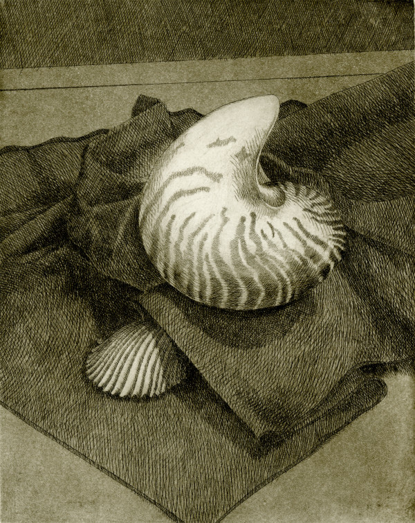Nautilus #2 by Pat Hardy