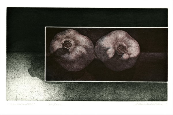 Pomegranates by Adrian Van Suchtelen
