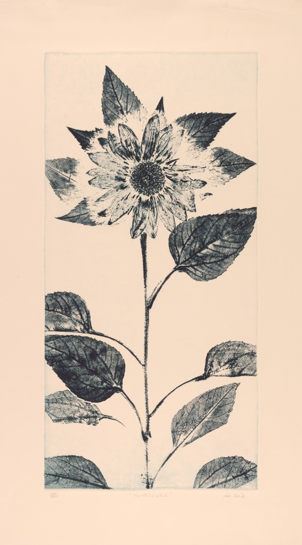 Sunflower by Robert Allan Cale