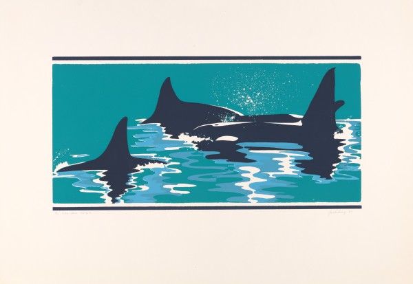 Killer Whale Portraits by Jane Pickering