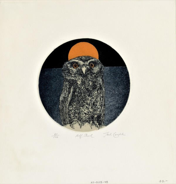 Elf Owl by Jack Coughlin
