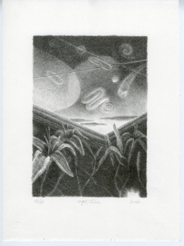 Night/Lilies by George Burk