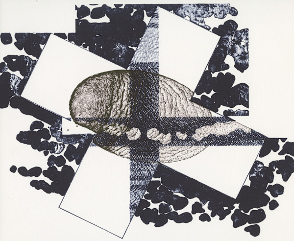 Untitled by Douglas Warfield Warner